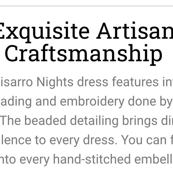 Pizarro Nights Hand-beaded bolero. - Picture 4 of 13